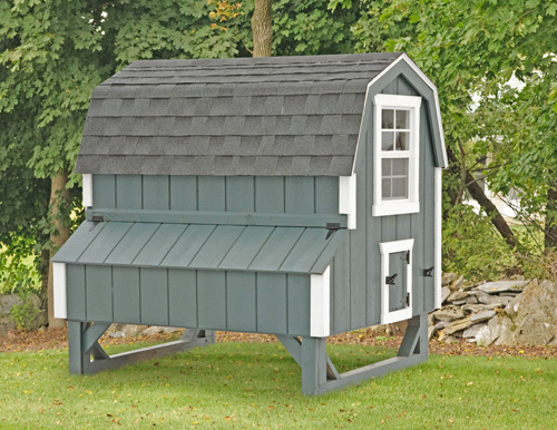 Dutch D46 4x6 CHICKEN COOPS